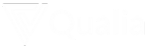 Qualia